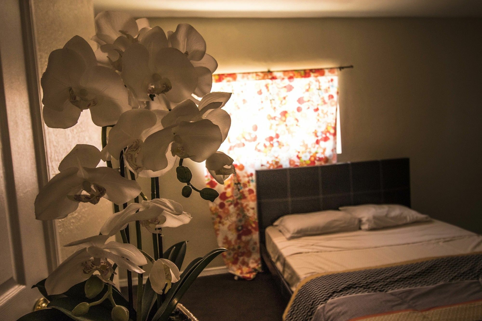 The Anderson Estates Hostel Λος Άντζελες Εξωτερικό φωτογραφία